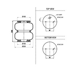  16900202 / A2 220/30-K01Convoluted Körük